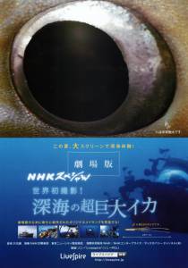 ���������� ������������� ������� �������� �������