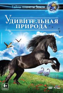 ������������ ������� 3D �������� �������